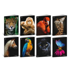 BLASETTI ANIMAL CONF. 10 QUADERNI A4 20 FOGLI 100 GR RIGHE -1R-